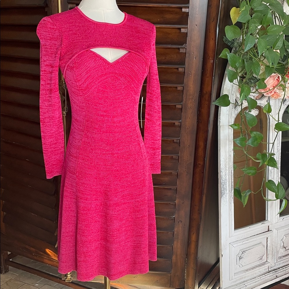 NWT Shoshanna Janet Fuchsia Mini Dress Small - Picture 3 of 10